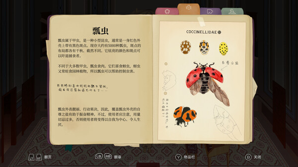 图片3